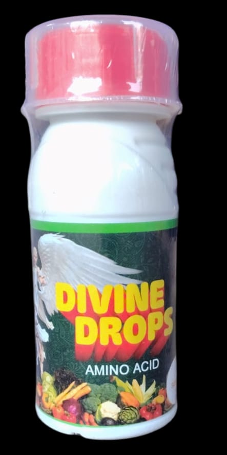 Divine Drop